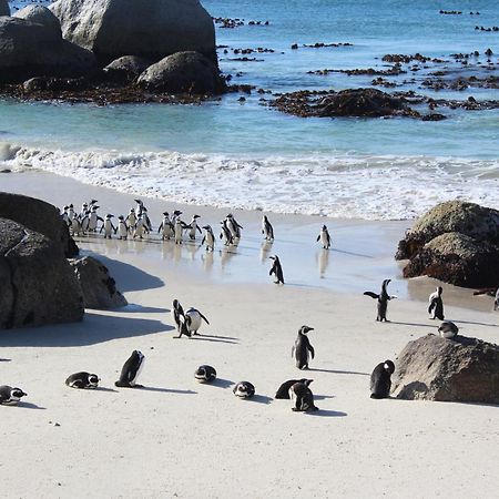 Boulders Beach House 西蒙镇 外观 照片