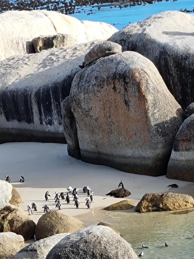 Boulders Beach House 西蒙镇 外观 照片