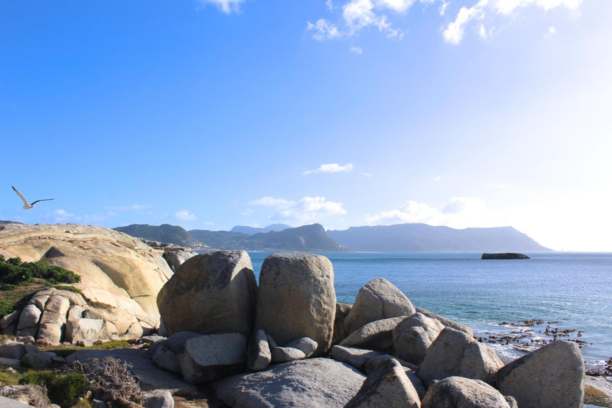 Boulders Beach House 西蒙镇 外观 照片